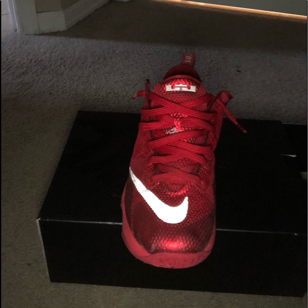 Lebron 12 lows size 10